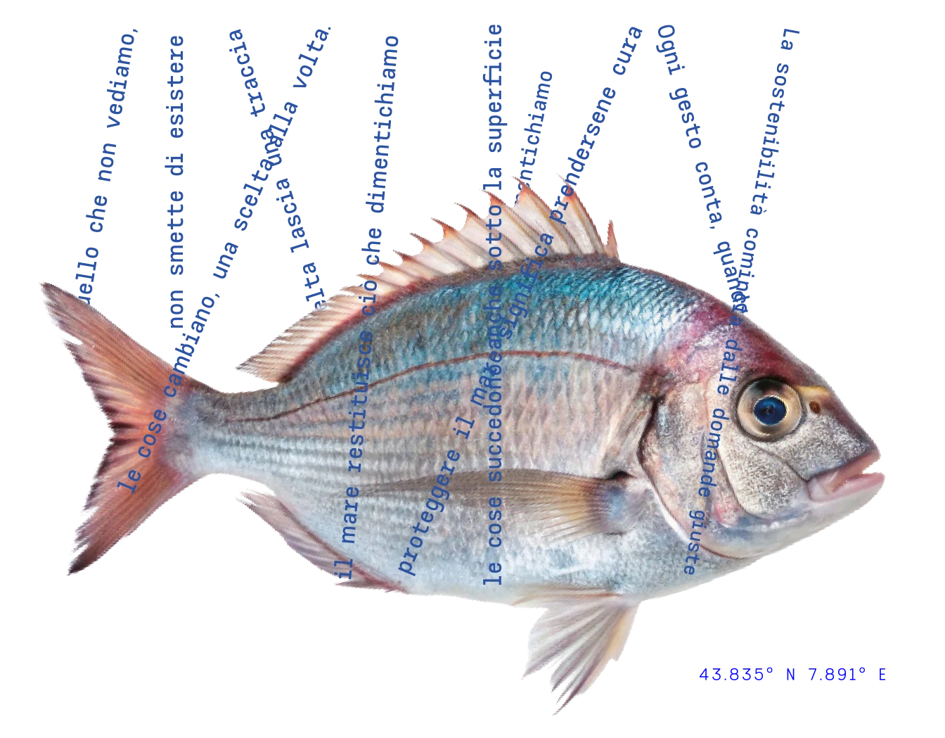 Pesce con parole sulla tutela del mare e coordinate geografiche di Genova